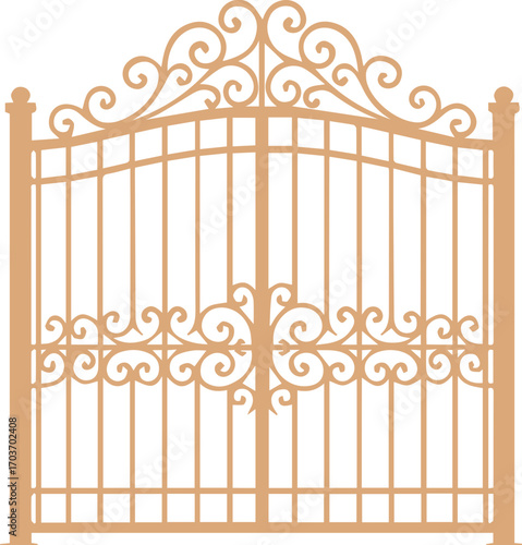 Ornamental Wrought Iron Gate with Decorative Design