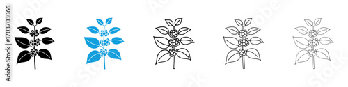 Coffee plant icons vector illustration for ui
