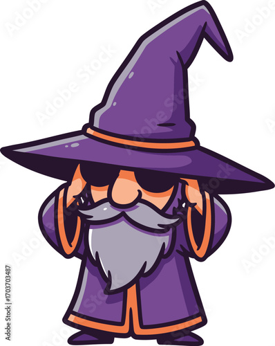Wise Old Wizard Cool Sunglasses	