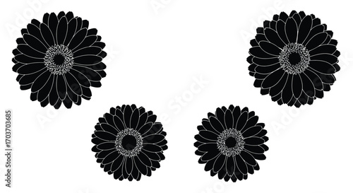 Four stylized black chrysanthemum flowers facing inward decorative floral elements vector