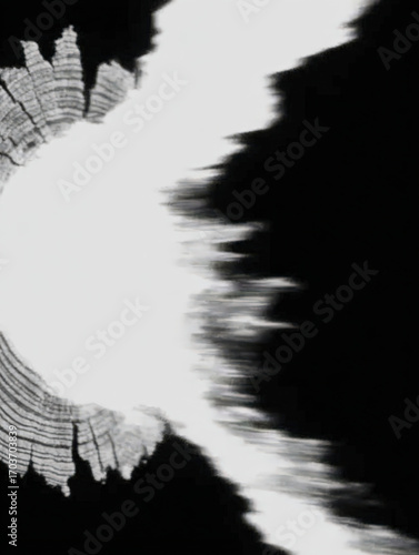 Monochrome abstract image showcasing a dynamic flow reminiscent of sandalwood, emphasizing movement with dramatic contrasts of light and shadow