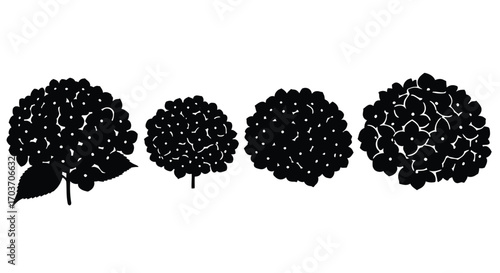 Four dark hydrangea flower heads with leaves simple silhouette design botanical element vector