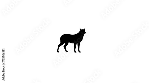 A black silhouette of a four-legged animal standing against a white background.