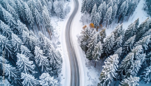 Aerial View of Winding Road Through Snowy Coniferous Forest in Winter Landscape Under Bright Daylight Sky with White Snow Covered Tree Branches