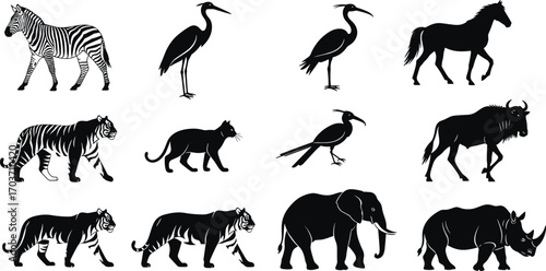 Black and white animal silhouette collection featuring zebra, heron, horse, tiger, cat, bird, wildebeest, elephant, rhinoceros, wildlife vector illustration set