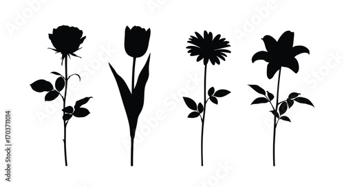 Collection of four silhouette flower stems isolated on beautiful botanical design vector
