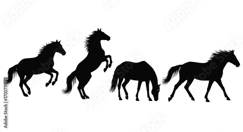 Four silhouetted horses galloping grazing and rearing in dynamic motion vector