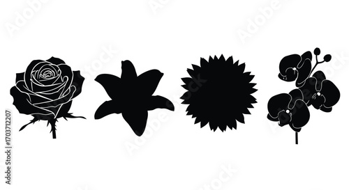 Diverse silhouettes of beautiful flowers for artistic design and botanical projects vector