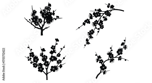 Delicate black cherry blossom branches scattered against white vector