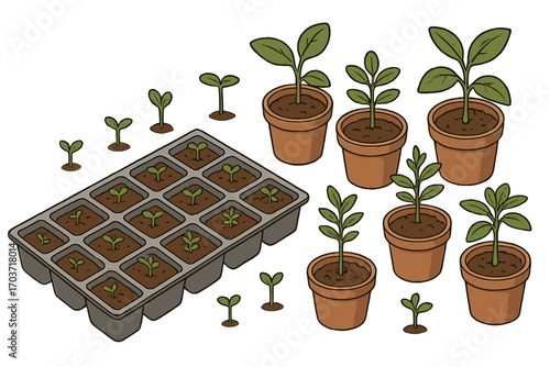 Agricultural cultivation