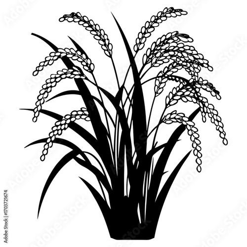 Black and White Rice Plant Vector Illustration – Agricultural Grain Crop Design.