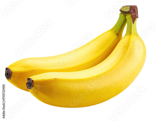 Two ripe bananas, yellow and smooth,  resting together, isolated against black