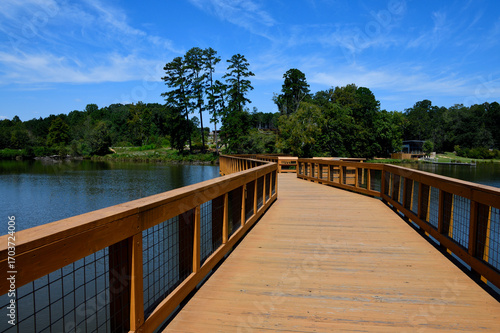 wooden bridge over the lake