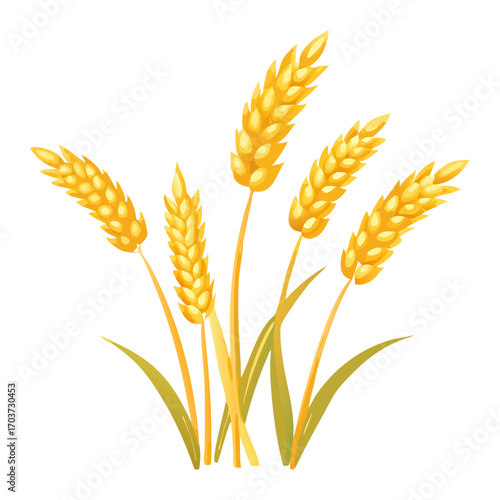 Golden Rice Ear Vector Illustration – Agricultural Grain Crop Design for Harvest and Farming.
