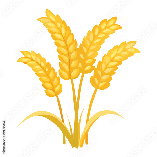 Golden Rice Ear Vector Illustration – Agricultural Grain Crop Design for Harvest and Farming.
