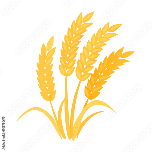 Golden Rice Ear Vector Illustration – Agricultural Grain Crop Design for Harvest and Farming.