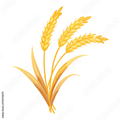 Golden Rice Ear Vector Illustration – Agricultural Grain Crop Design for Harvest and Farming.