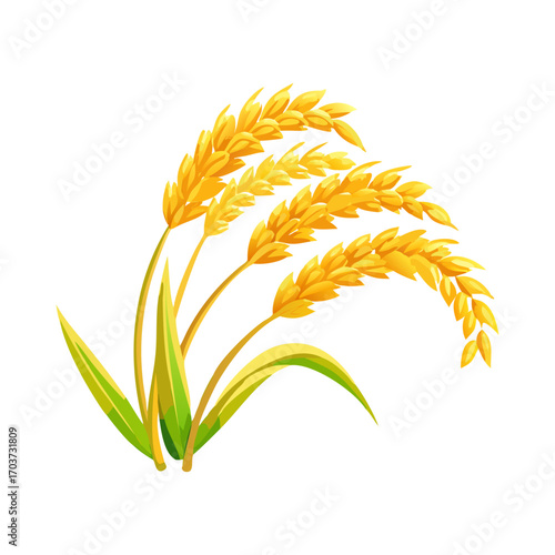 Golden Rice Ear Vector Illustration – Agricultural Grain Crop Design for Harvest and Farming.
