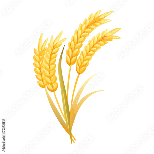 Golden Rice Ear Vector Illustration – Agricultural Grain Crop Design for Harvest and Farming.