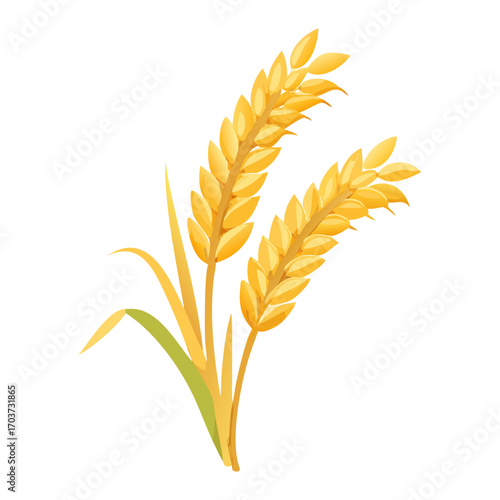 Golden Rice Ear Vector Illustration – Agricultural Grain Crop Design for Harvest and Farming.