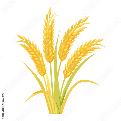 Golden Rice Ear Vector Illustration – Agricultural Grain Crop Design for Harvest and Farming.