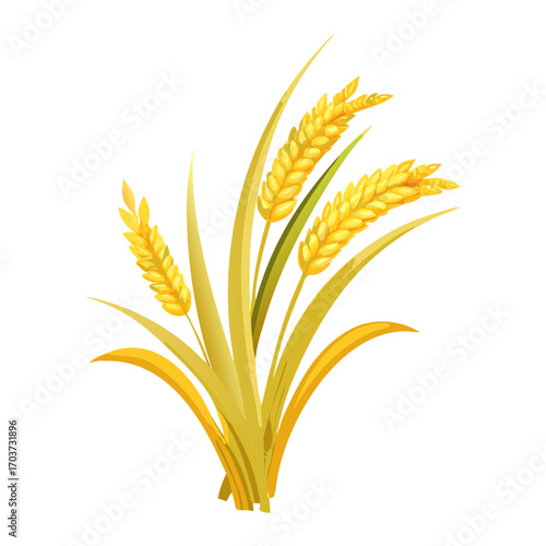 Golden Rice Ear Vector Illustration – Agricultural Grain Crop Design for Harvest and Farming.