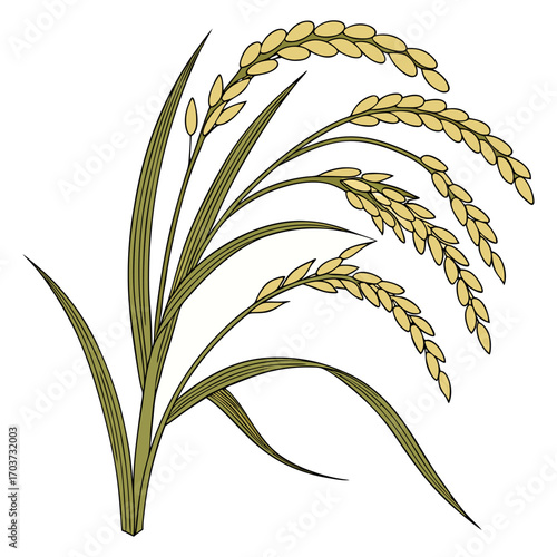 Rice vector , rice design, rice logo, rice icon, rice concept, rice cartoon, rice template, rice art, rice topics, rice doodle.