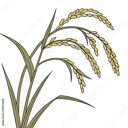 Rice vector , rice design, rice logo, rice icon, rice concept, rice cartoon, rice template, rice art, rice topics, rice doodle.