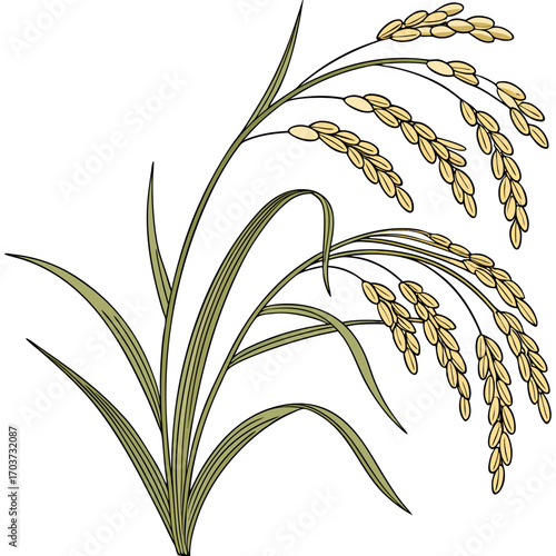 Rice vector , rice design, rice logo, rice icon, rice concept, rice cartoon, rice template, rice art, rice topics, rice doodle.