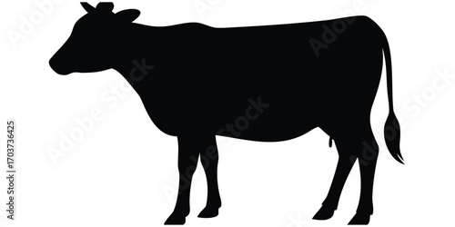 Silhouette of a black and white cow on a farm vector illustration