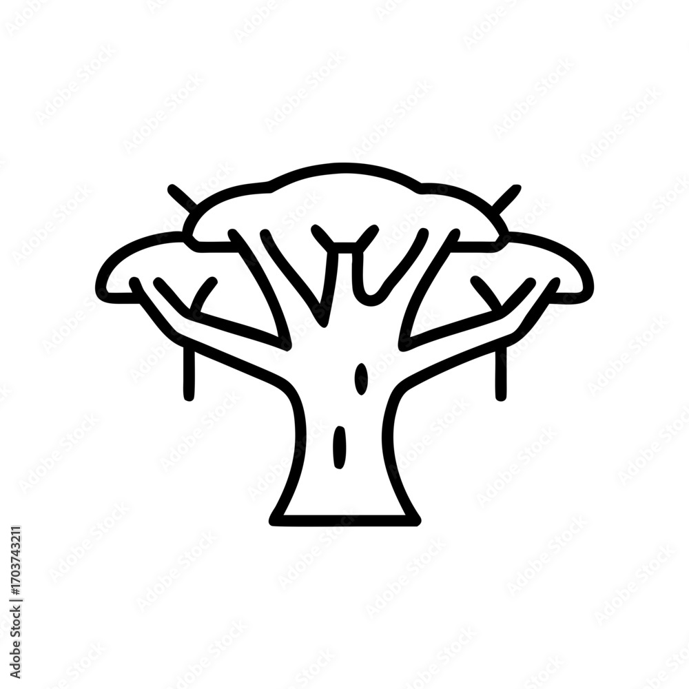 Obraz premium Dragon's Blood Tree illustration in minimalist black line art 