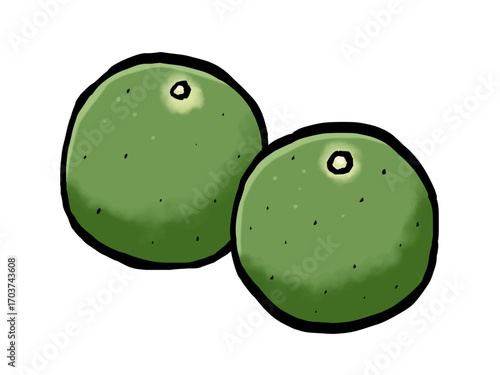 筆 すだち 秋の果物 柑橘類 / Japanese Citrus Sudachi Illustration in Brush Style
