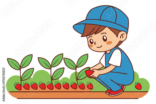 Vector art of cute cartoon boy in blue overalls and cap picking strawberries from a garden bed