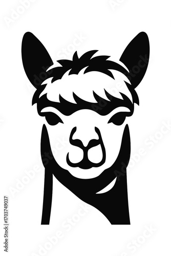 Elegant black and white vector illustration of an alpaca's head, showcasing its distinctive fluffy forelock, alert ears, and a calm, friendly facial expression. This stylized graphic art is perfect fo