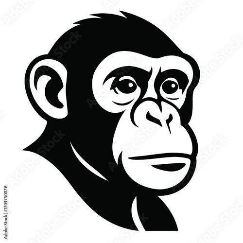 Black and white vector illustration of a chimpanzee head, intelligent expressive primate. Perfect for logos, branding, wildlife education, conservation, nature-themed design. This versatile graphic ca