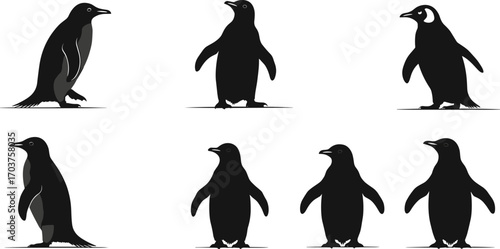 MobileStylized black and white penguin illustrations, various poses and orientations, wildlife vector art, seabird design, decorative Antarctic animal graphic collection set