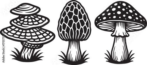 mashroom and fungus set in black and white