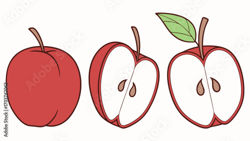 Vector art of a whole red apple and two halves of a red apple showing seeds and stem