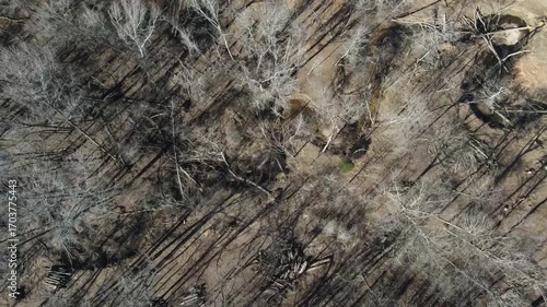 Aerial top down rural neighborhood in winter after Hurricane Helene in Appling Augusta Georgia