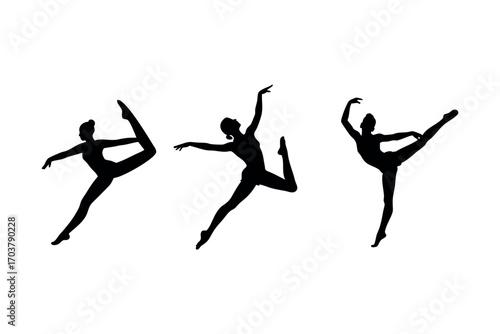 graceful dancers performing elegant movements in silhouette