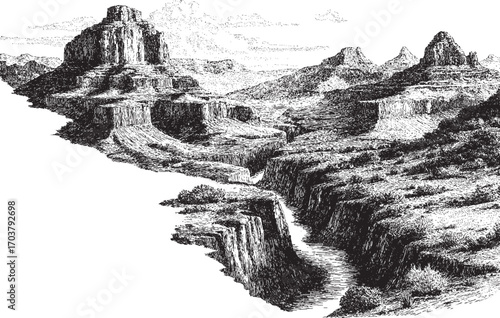 Grand Canyon, Arizona illustration on a white background. This vector illustration can be used in any size you like for advertising, logos, and other work.