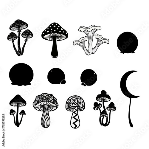 A colorful set of cartoon vector mushrooms with a red toadstool in a forest