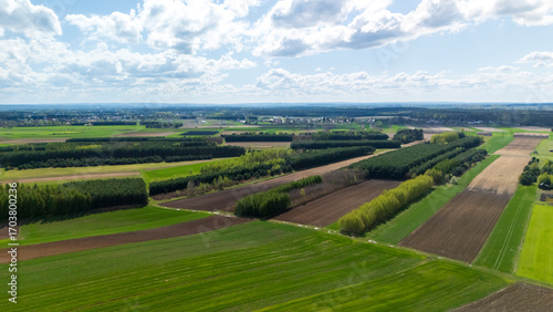Panoramic aerial view of lush green farmland with patches of forest, showcasing modern agricultural landscapes under a bright blue sky with fluffy clouds.
