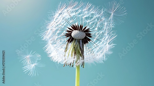 Wallpaper Mural A symbolic canvas of life and labor, painted with emotions and thoughts Torontodigital.ca