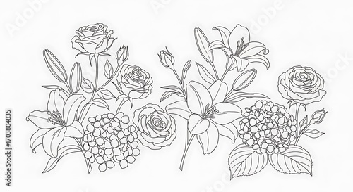 Wallpaper Mural A detailed line drawing composition of roses, lilies, and hydrangeas, showcasing intricate floral details. Torontodigital.ca