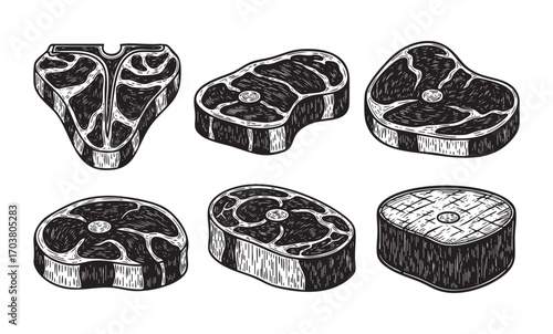 vector set of steak meat