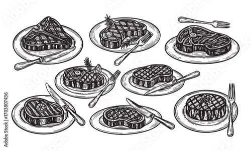 vector set of steak meat on plate