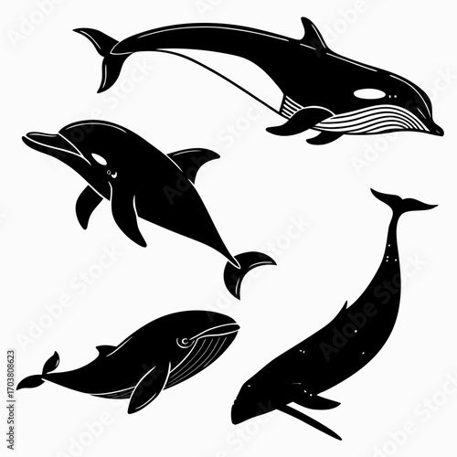 A collection of stylized black silhouette illustrations of various marine mammals including a dolphin orca whale humpback whale and a fin whale swimming gracefully in the ocean water