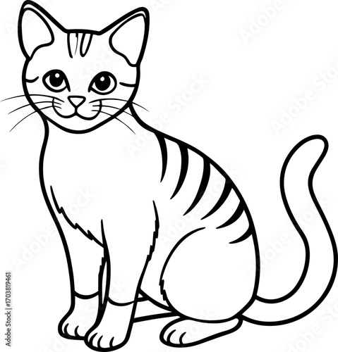 vector illustration of a cat