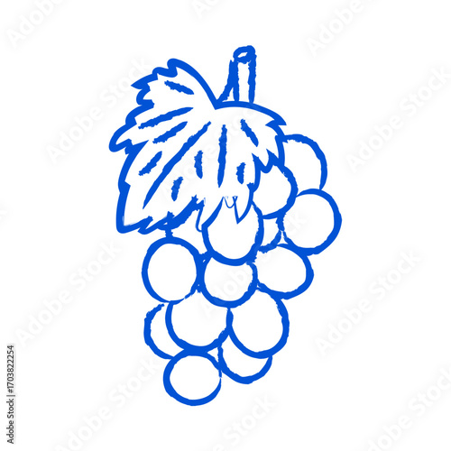 Grapes, Mediterranean fruit. Vector illustration.